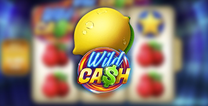 Find the Best No Deposit Free Spins for Wild Cash